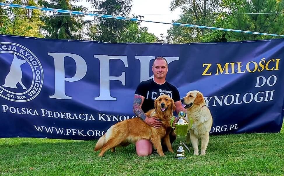 Golden Retriever po Championach