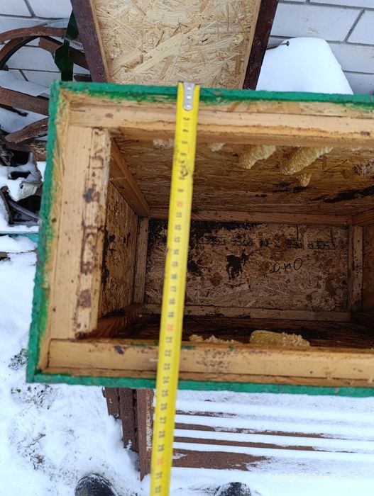 Ловушки (роеловки) для пчёл