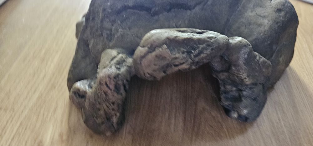 Vendo do gruta abrigo