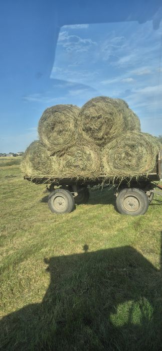 Siano 120x120   33 sztuki