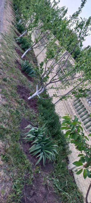 Будинок 58м2 с.Засулля