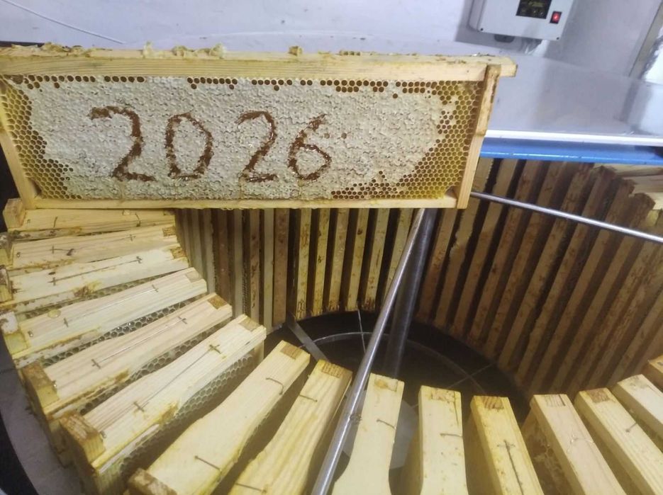 Продам соняшниковий мед з різнотравям