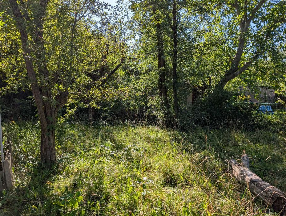 ROD Czerniaków ogród działkowy - Widok 2