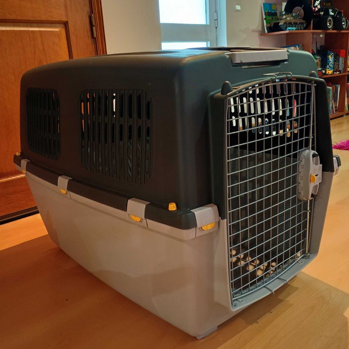 Caixa de transporte N⁰ 6 IATA cão