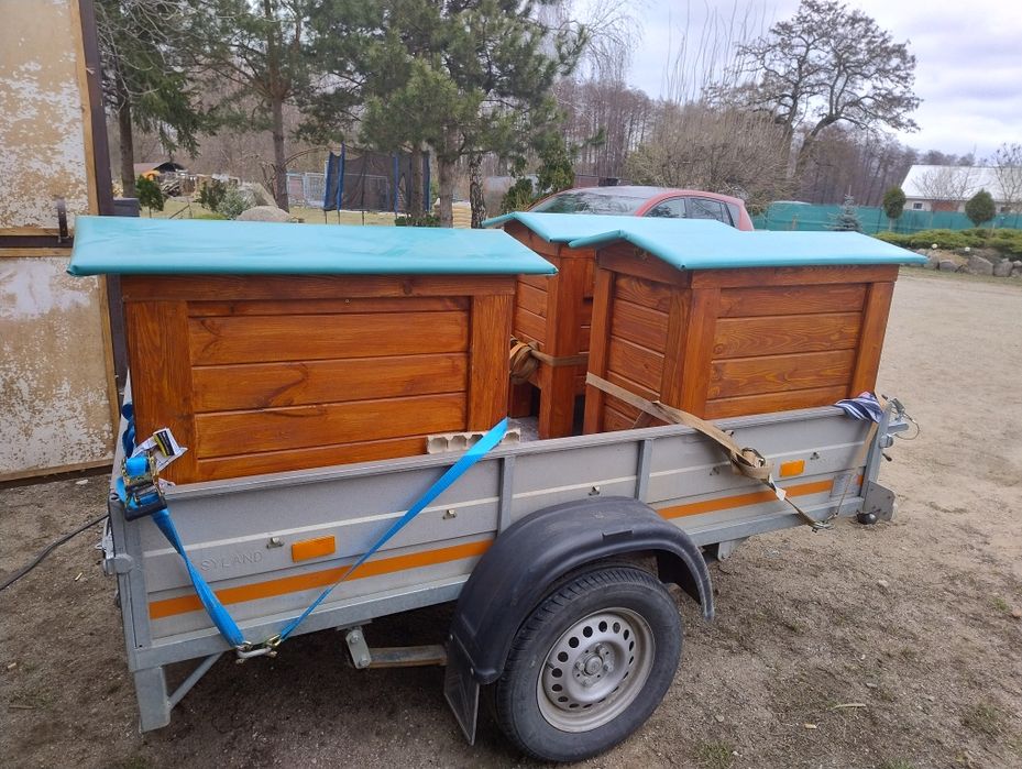 UL warszawski poszerzany