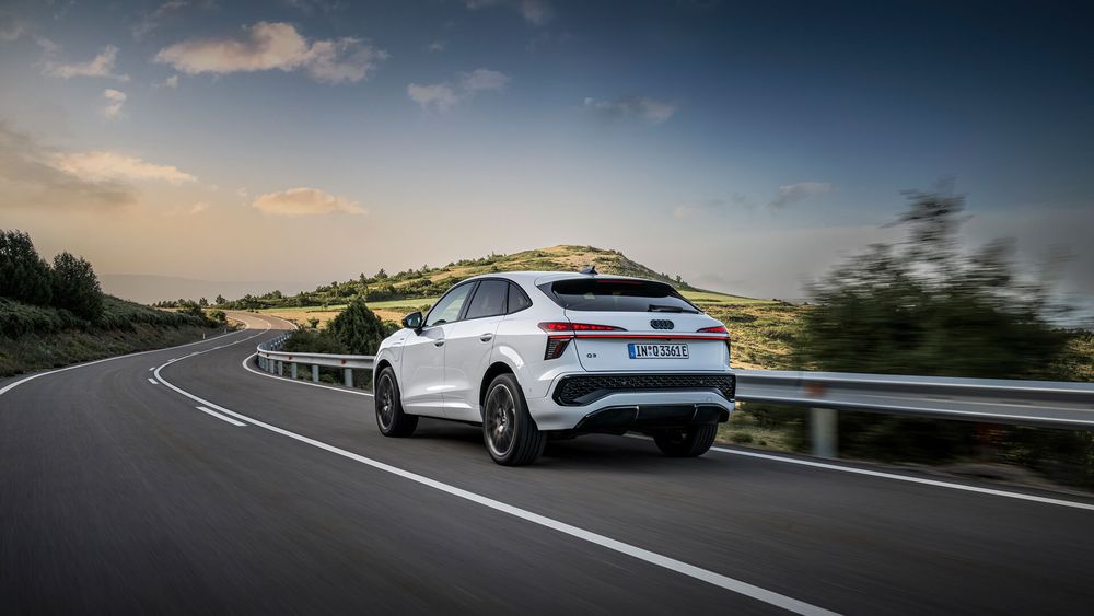 Zdjęcie w galerii numer 6