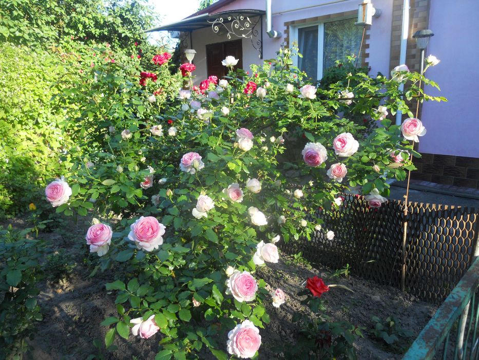 Квартири подобово