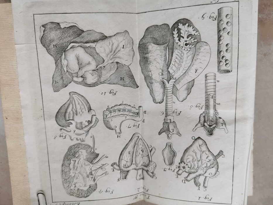 Colecção livros 'Recreação Filosófica' do séc. XVIII