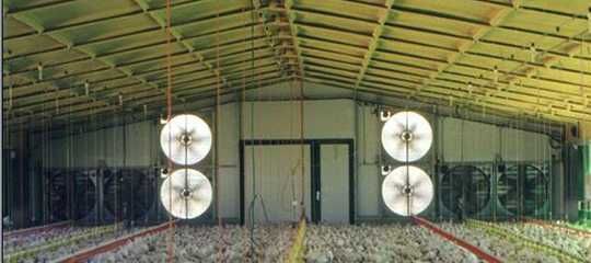 Вентилятор для птахоферми теплиці свинарника ферми вентиляція