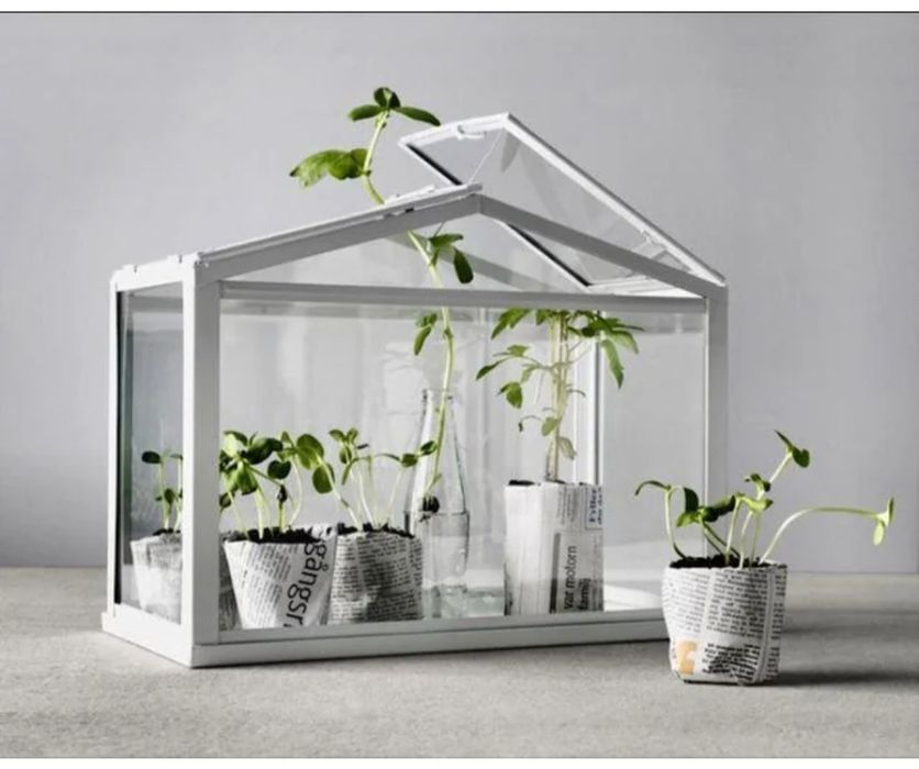 UNIKAT Mini szklarnia Ikea Socker greenhouse