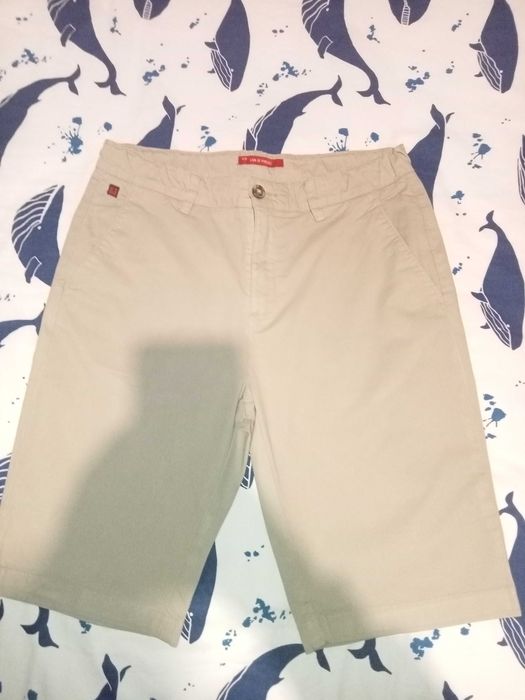 Lion Of Porches Shorts