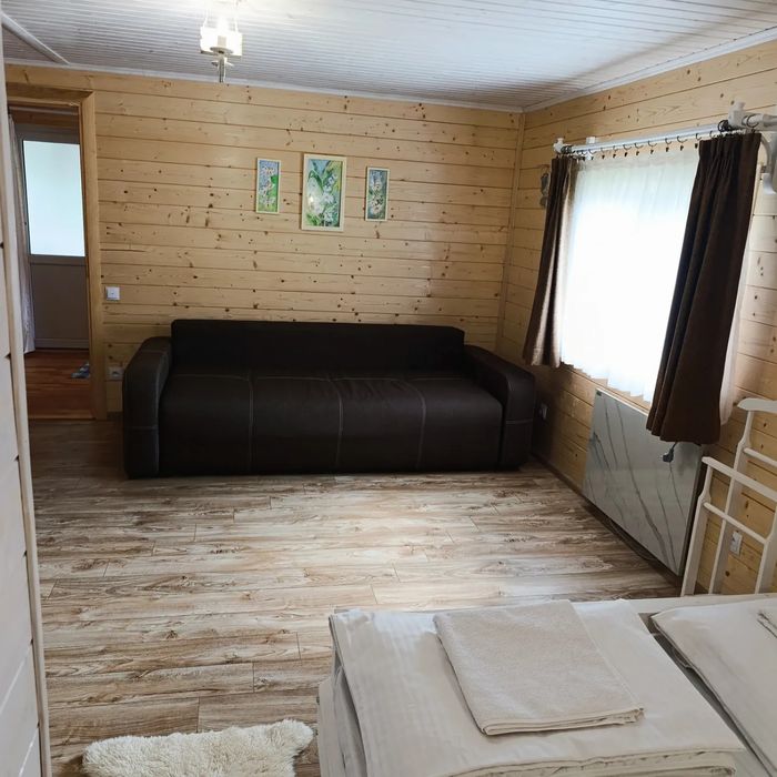 Шале з каміном біля річки