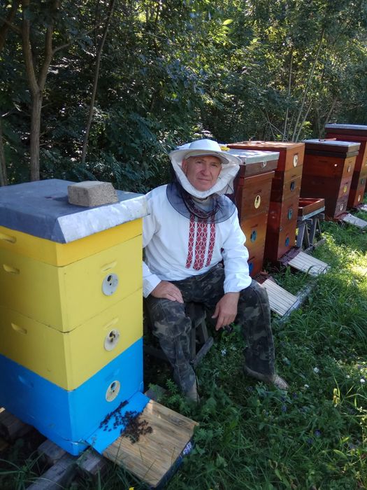 Продам пасіку з бджолами