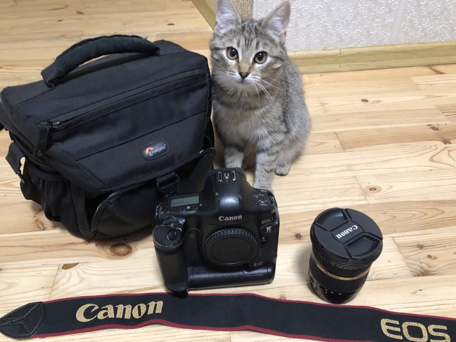 Canon 1D mark ii  та Tamron 10-24mm