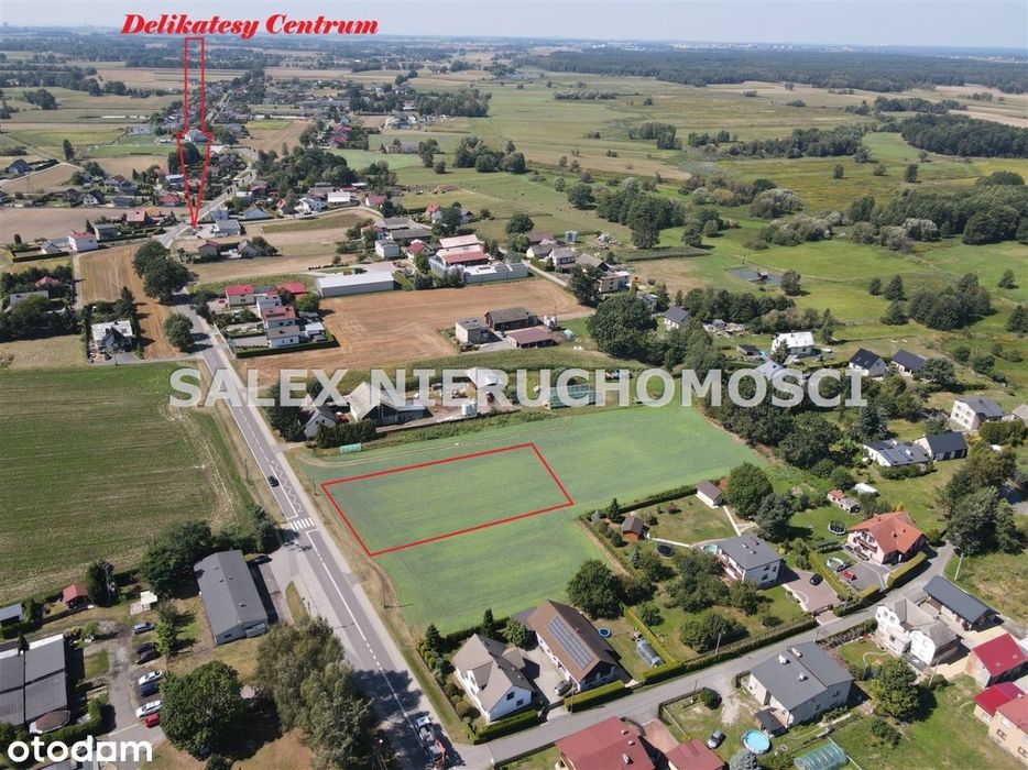 Działka 2200 m² przy ul. Wyzwolenia w Mizerowie - Widok 2
