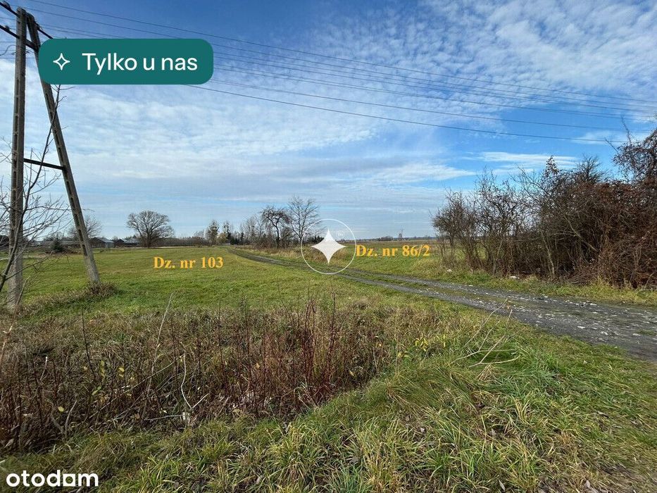 Dwie działki w Żukach - rolna i pod zabudowę