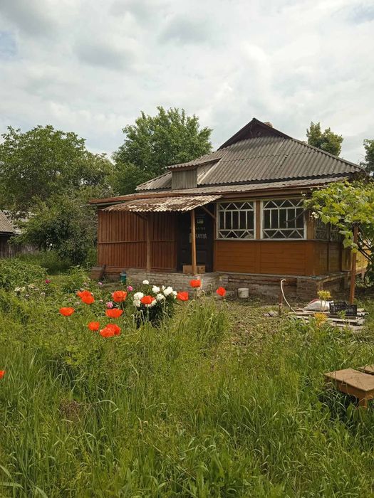 Будинок в центрі Любеча