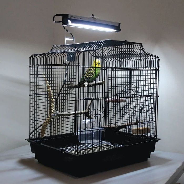 Комплект ламп Arcadia PureSun Bird Mini 8W, 31 см