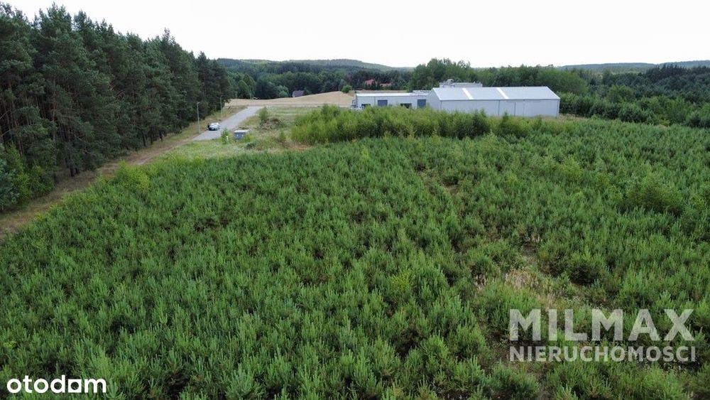 Działka z MPZP i infrastrukturą