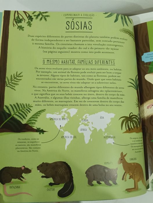 Incrível Evolução - A Viagem da Vida