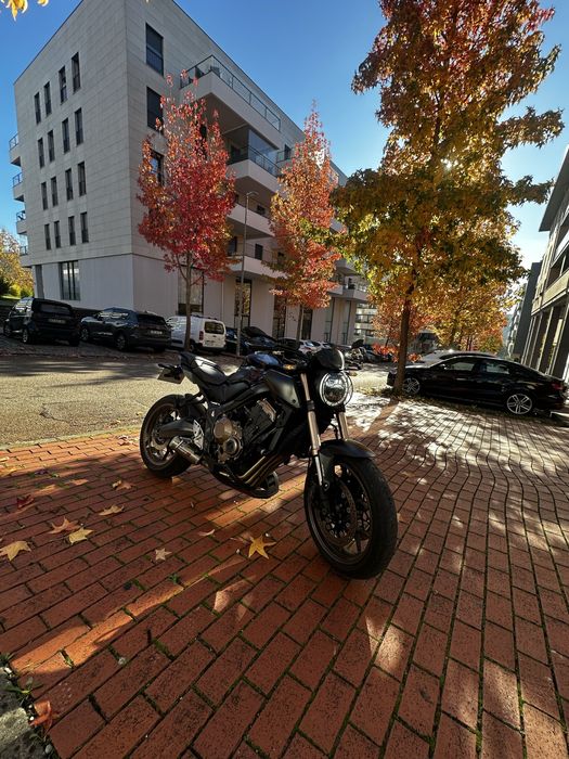 Cogumelos Honda CB650R