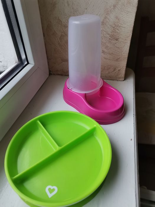 Miseczki dla kota  lub małego  psa