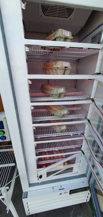 Jaja kurze, z wolnego wybiegu, AUTOMAT SAMOOBSŁUGOWY 24/7, Rolniczy Handel Detaliczny