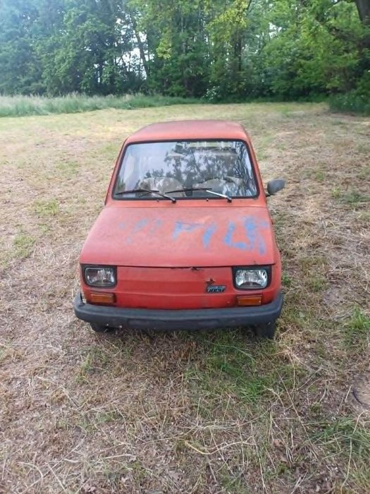 maluch 126p maluch