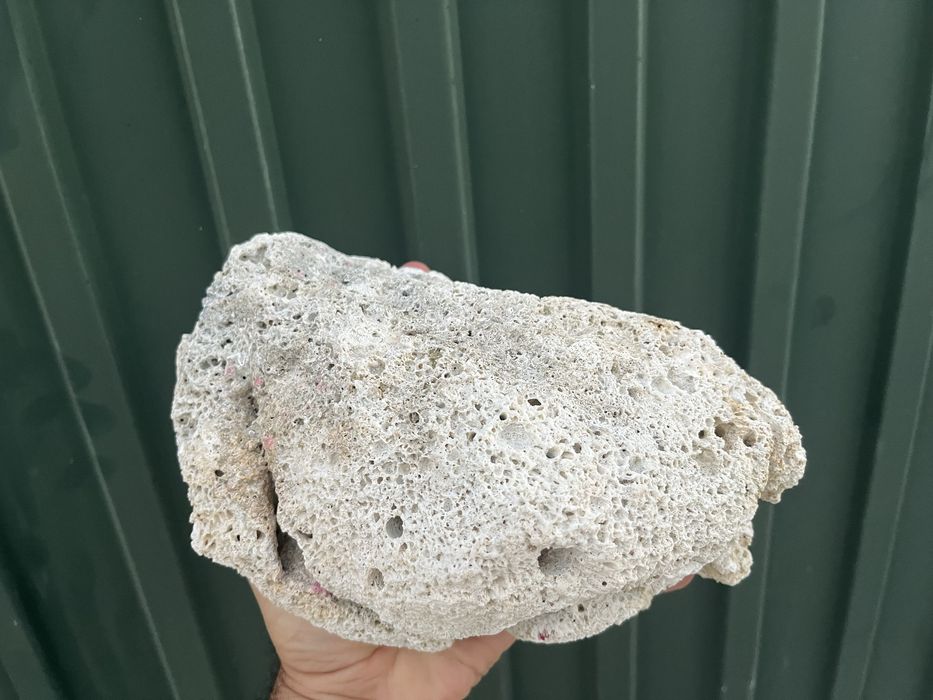 Pedra de coral para aquario ou terrario ou decoração