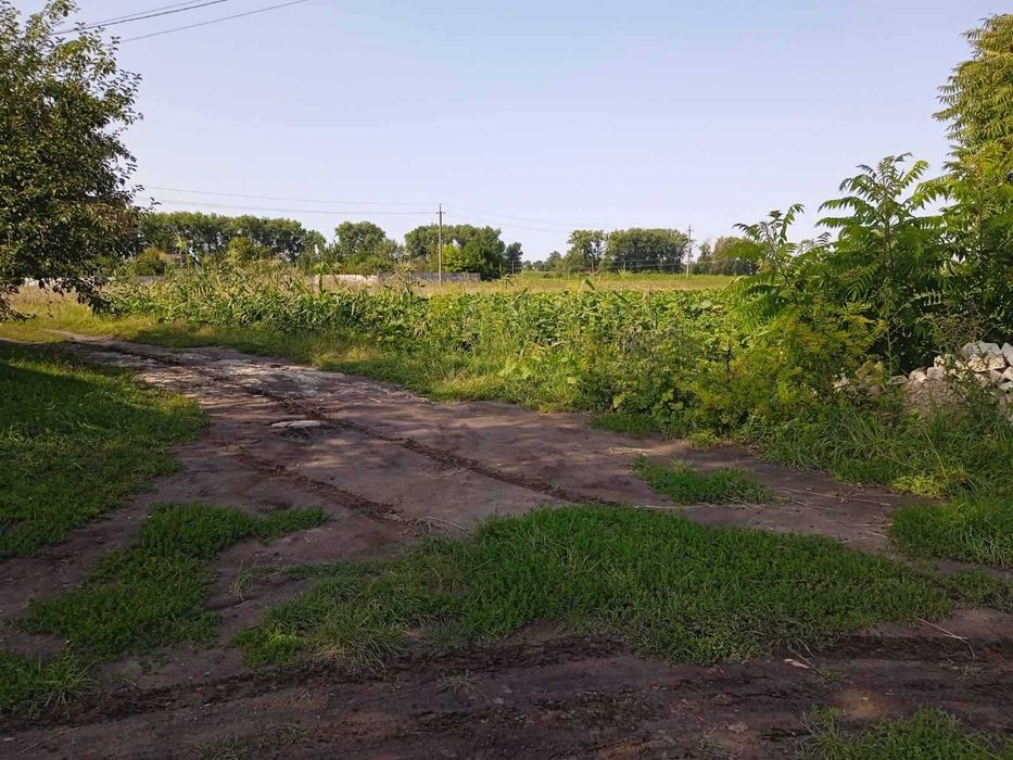 Терміново продам  ділянку під забудову у Сінгурах