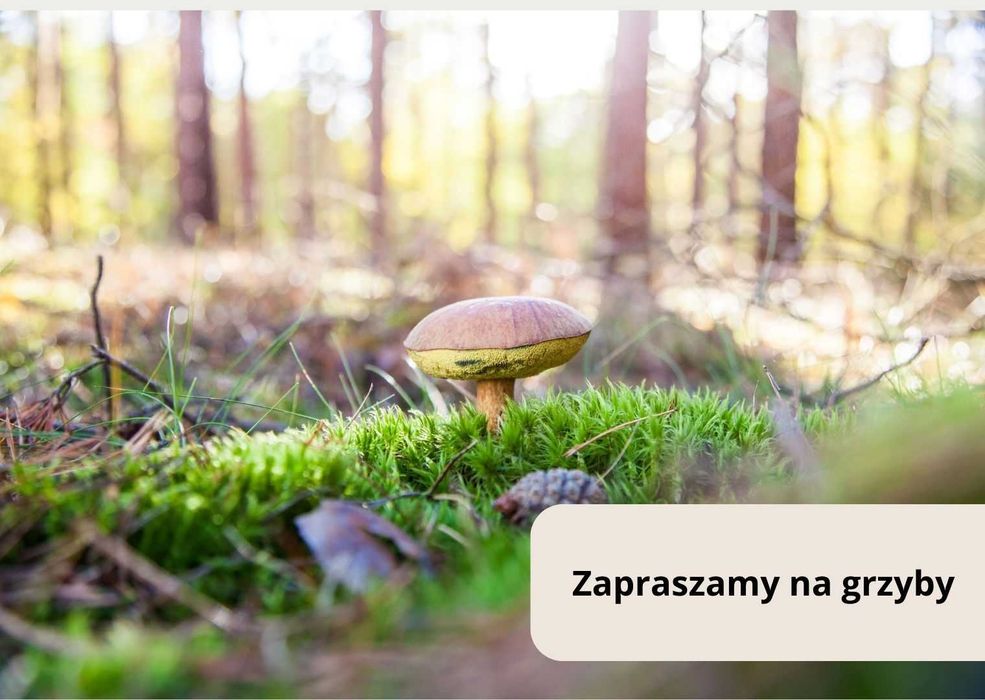 Noclegi pracownicze - agroturystyka