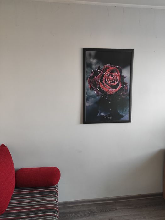 Sprzedam Obraz 66x96 cm