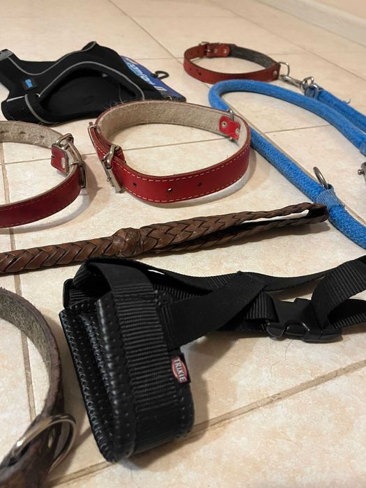 4 Szelki dla Psa XL, M, S, 2 Smycze, 5 Obroży i Regulowany Kaganiec