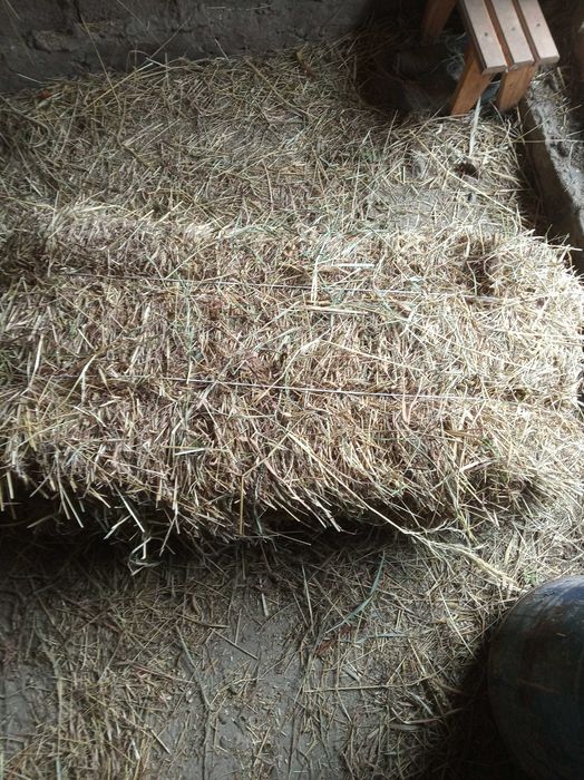 Продам сіно в тюках