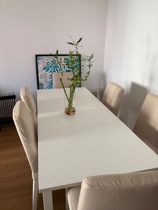 Mesa de jantar 6 lugares