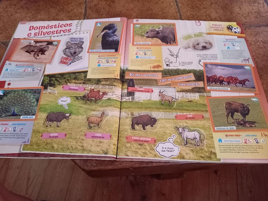 Animais 2013, caderneta cromos completa