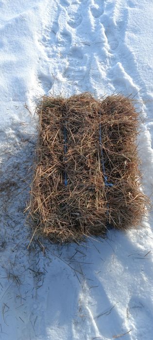Продам сіно в тюках 60-75 грн тюк с. Соснівка