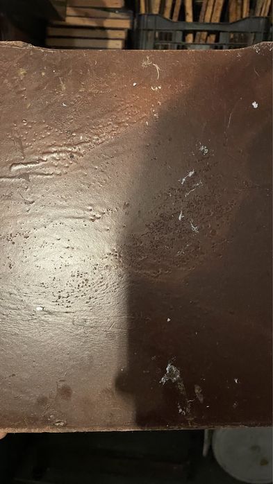 Alimentador quadro ninho lusitano