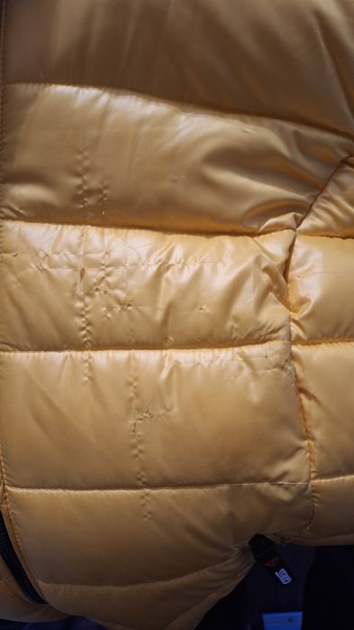 Kurtka  Guess żółta rozm.M