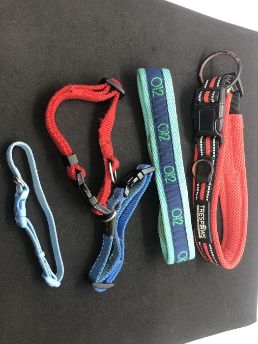 Собачая шлея-ошейник