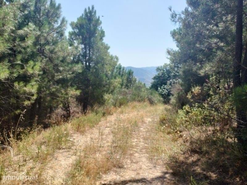 Land Plot | Vila Real | 57 Hectares