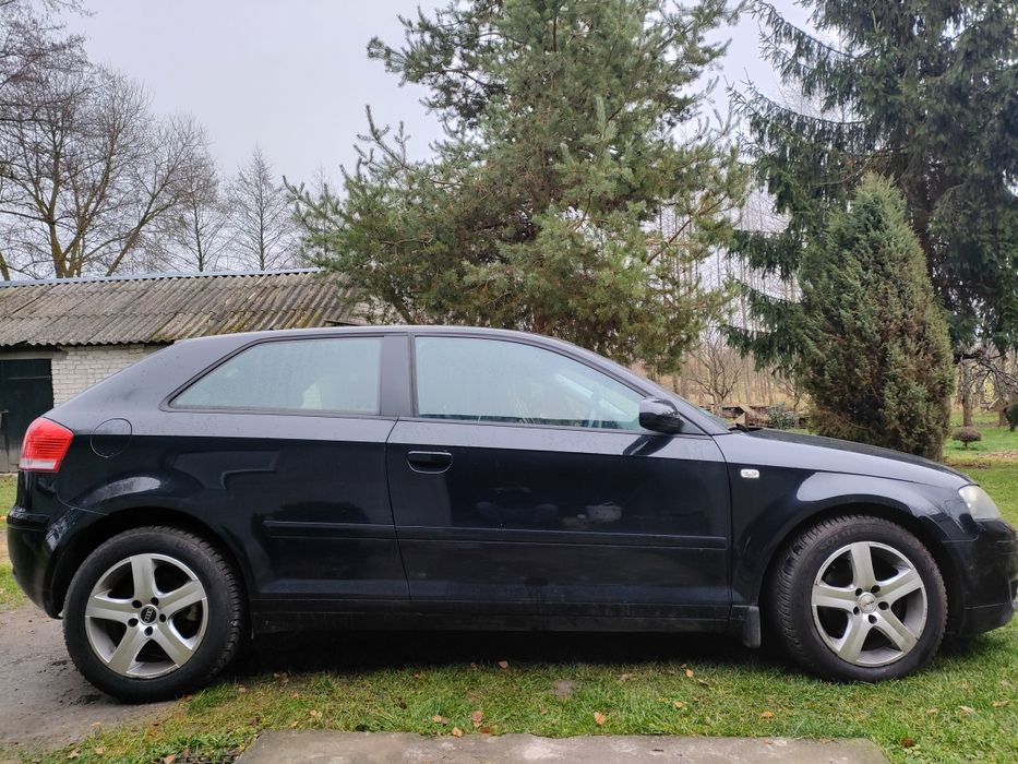 Audi A3 8P, 2007r, 1.9 TDI, 105KM