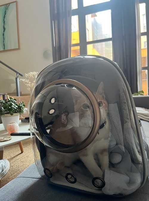 Mochila transportadora transparente gatos e pequenos animais PORTESGRÁ