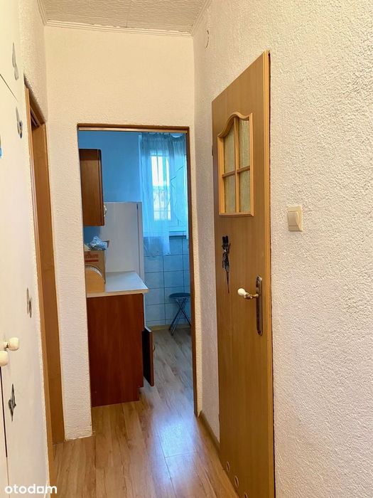 Słoneczne, dwupokojowe mieszkanie na wynajem