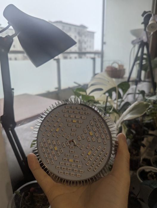 Żarówka ZEED 80W (Full Spectrum)