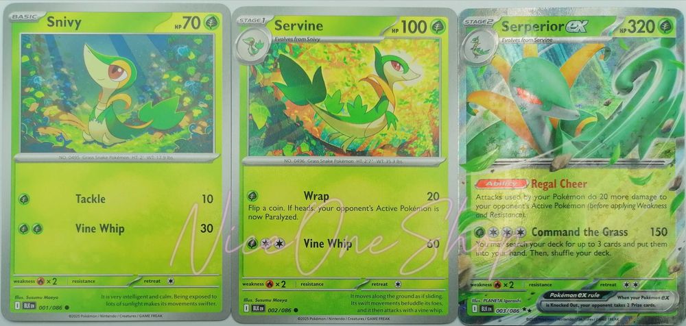 BLK (Black Bolt) | Snivy 001/086 (Common) + Servine 002/086 (Common) + Serperior ex 003/086 (Double Rare) | Oryginalne karty Pokemon TCG