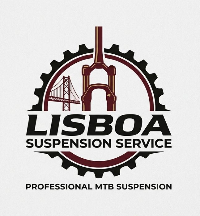Revisão suspensao e shox bike mtb btt