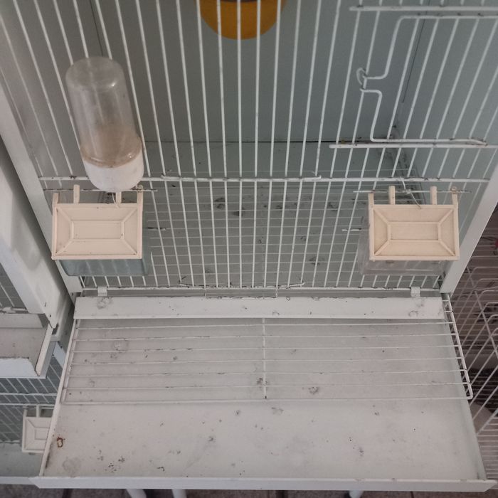 Viveiros de criação