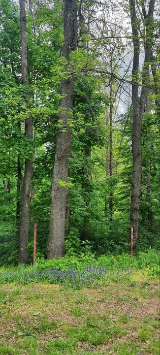 Продам дачу Гайдари в дачному кооперативі
