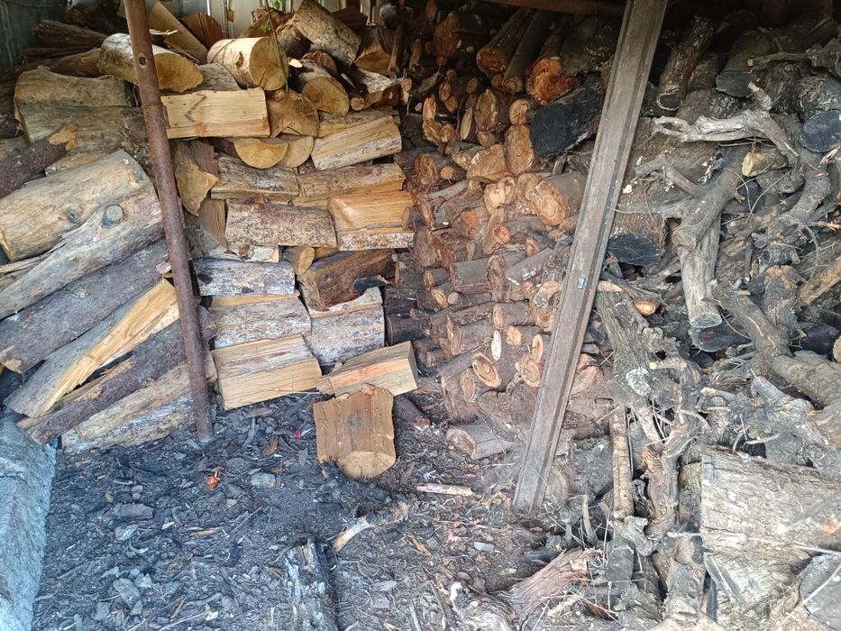 Vendo lenha com saca pinha oferta por m3